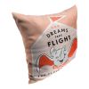 DISNEY 100 - TAKE FLIGHT